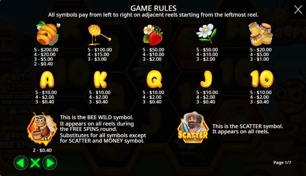 Bee Keeper Slot  gameplay rules Screenshot