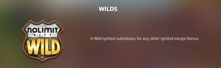 Duck Hunters rules screen displaying the Wild symbol and substitution description.