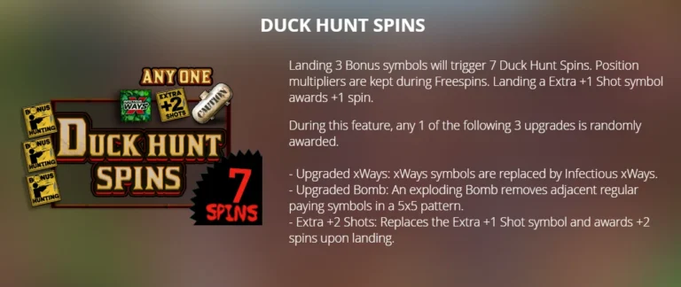 Duck Hunters rules: Duck Hunt Spins bonus description, trigger conditions, and upgrade mechanics.