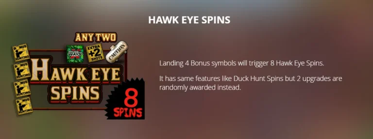 Duck Hunters info screen explaining Hawk Eye Spins feature with 4 Bonus symbols and 8 spins.