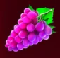 grapes symbol in Lucky Coin Wins